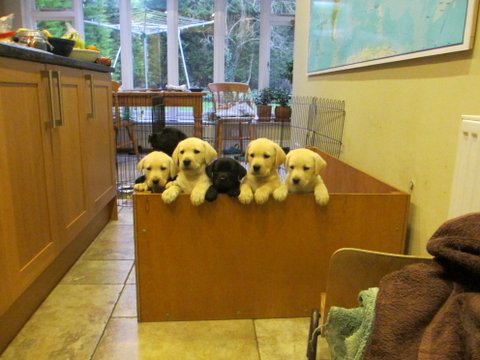 IMG_1864_zps8a6b8553