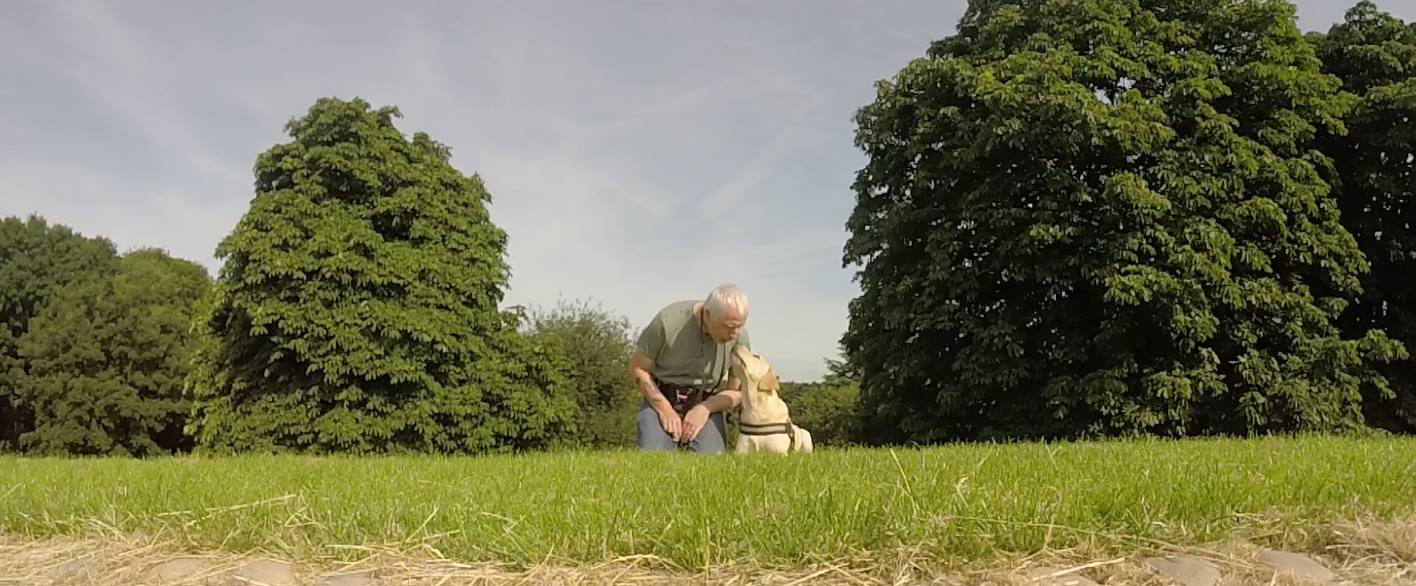 13613410_1814978355389285_2617725607065444021_o