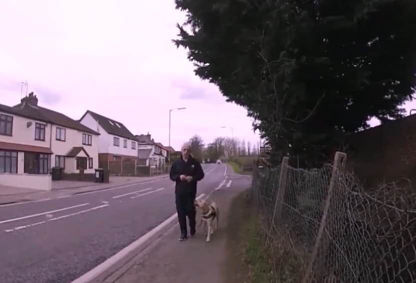 15940744_1905293209691132_5064330985940857597_n