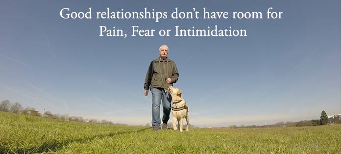 17203067_1935997076620745_5993029518367581823_n