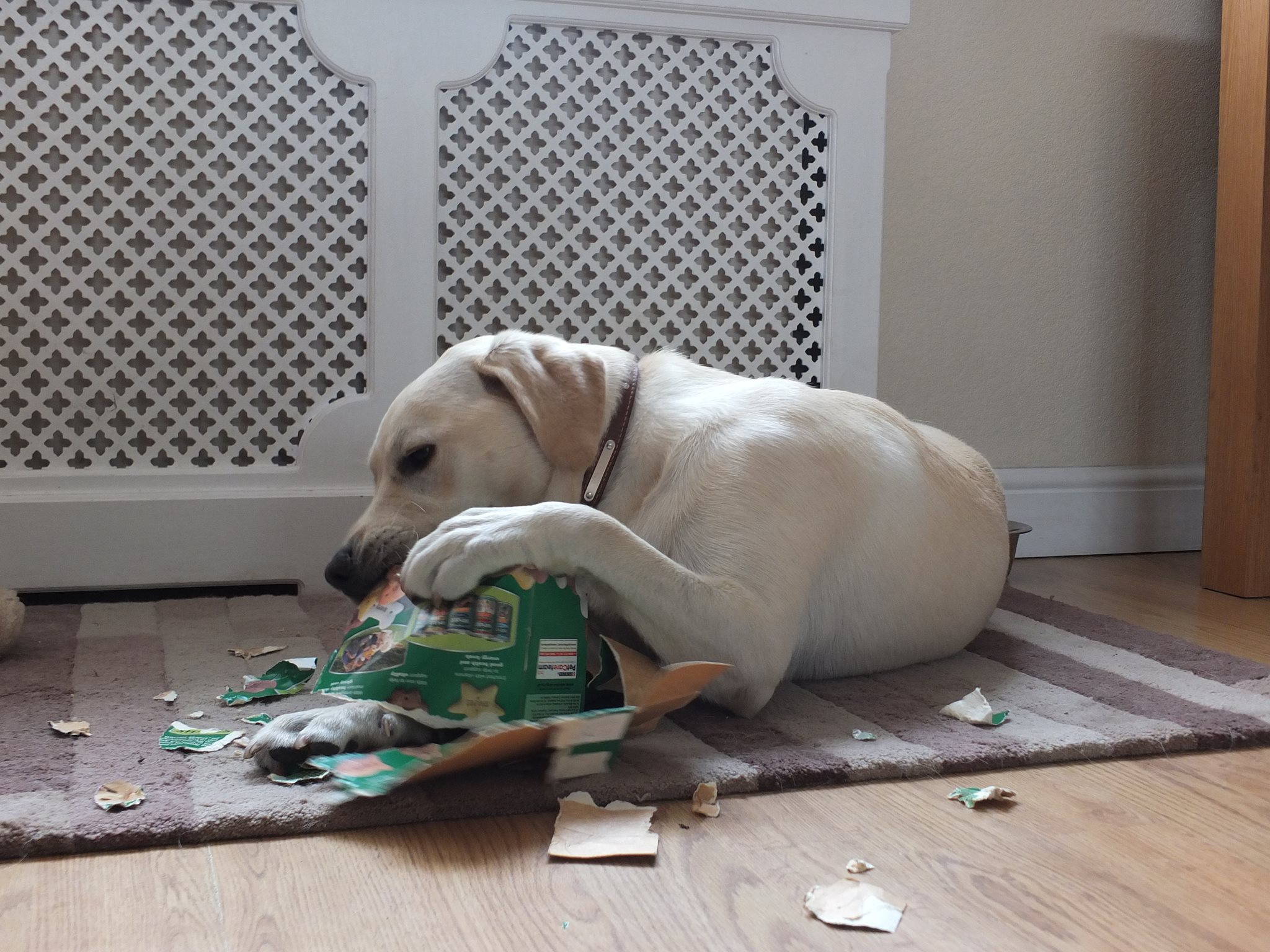 1146975_1409997505887374_741709167_o