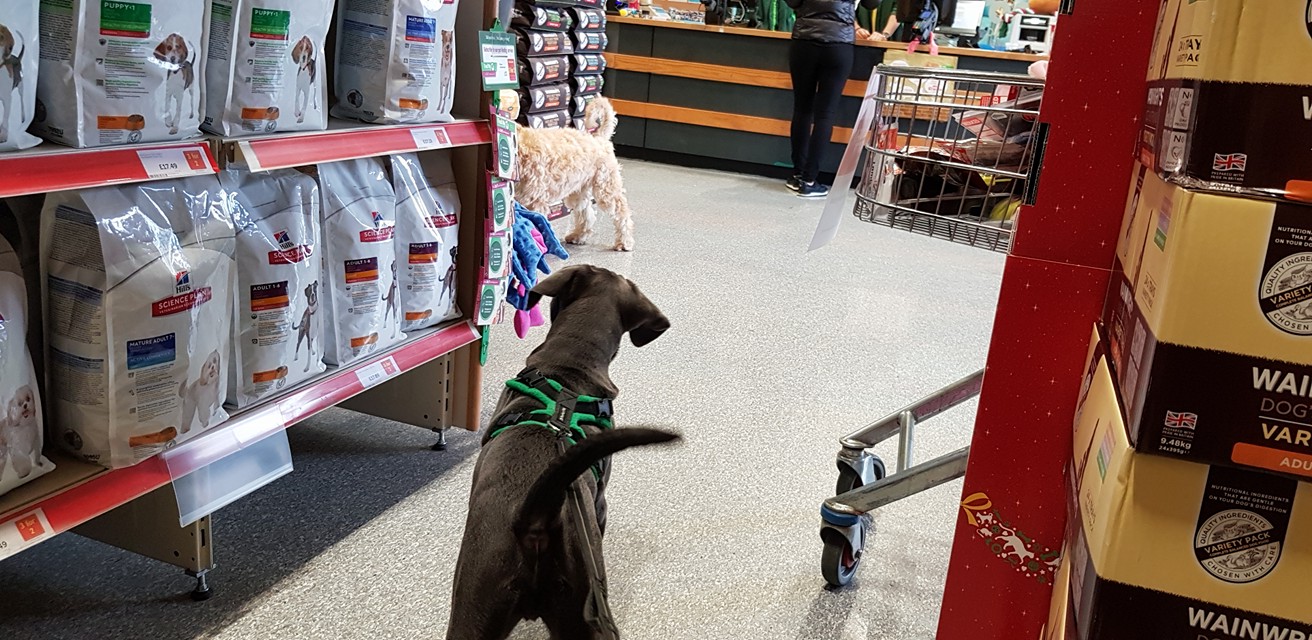 26173154_10159792616345137_1823469546659972531_o