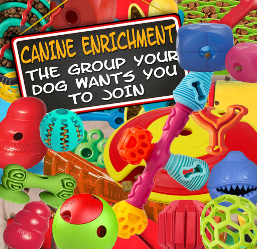 THE GROUP YOUR DOG WANTS YOU TO JOIN