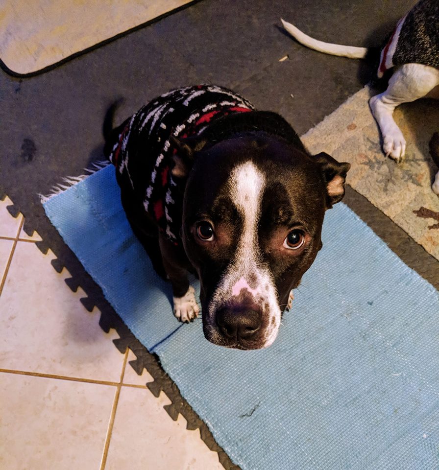 45193674_10156899507399319_7296285726570708992_n